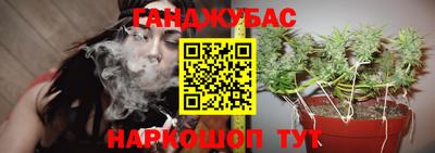 прущие грибы Рыбинск