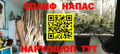 прущие грибы Рыбинск