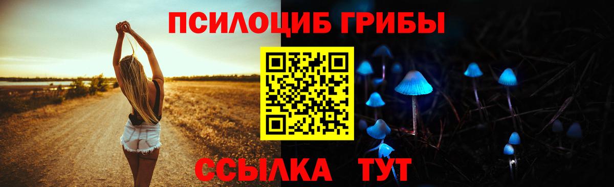 Октябрьский  Галлюциногенные грибы MAGIC MUSHROOMS  Вход с VPN  Псилоцибиновые грибы Psilocybine cubensis 